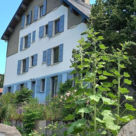 Chalet Du Doumet - Appart Luz Centre - Parking Et Garage Individuel Ferme - Draps Et Serviettes Inclus 뤼생소베르 외부 사진