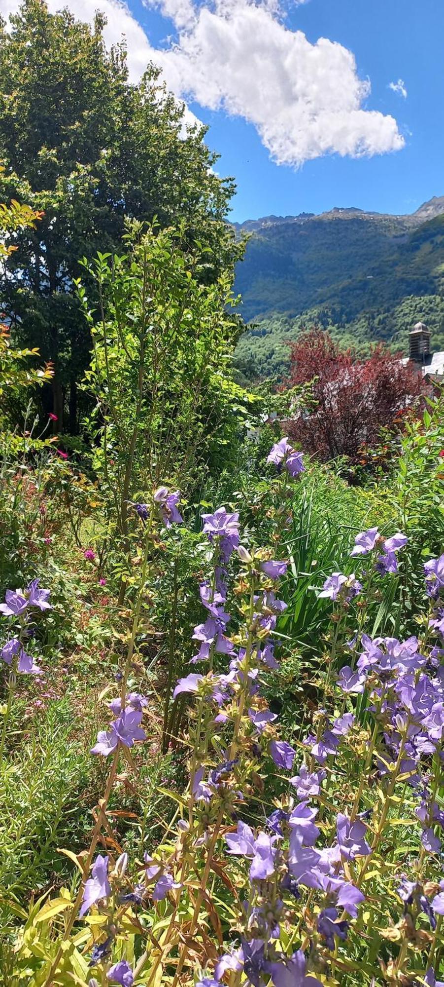 Chalet Du Doumet - Appart Luz Centre - Parking Et Garage Individuel Ferme - Draps Et Serviettes Inclus 뤼생소베르 외부 사진